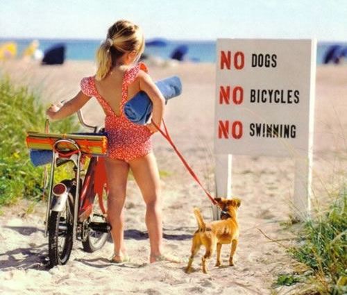 bad day at beach